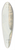 John Thomas Serres - The Bolt Head, West North West 39.3 inch art pintail longboard deck