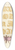 Joris Hoefnagel - Chard Leaves and Red-Winged Grasshopper 39.3 inch art pintail longboard deck