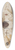 Joris Hoefnagel - Insects and the Head of a Wind God 39.3 inch art pintail longboard deck