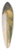 Josef Fischer - Ansicht der Haupt- und Residenzstadt Wien vom Standpunkte bey Nussdorf 39.3 inch art pintail longboard deck
