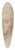 Joseph Ducreux - Head of a Gentleman (recto) 39.3 inch art pintail longboard deck