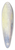 Joseph Mallord William Turner - Approach to Venice 39.3 inch art pintail longboard deck