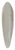 Joseph Mallord William Turner - Fishing Boats Becalmed off le Havre 39.3 inch art pintail longboard deck