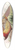 Joseph Smit - Phasianus torquatus. 39.3 inch art pintail longboard deck