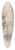 Jost Amman - The Stag 39.3 inch art pintail longboard deck