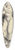 Karl Wiener - Die Wahsinnige 39.3 inch art pintail longboard deck