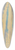 Karl Wiener - Naturstudie LII 39.3 inch art pintail longboard deck