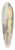 Karl Wiener - Naturstudie XLIII 39.3 inch art pintail longboard deck