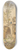 Adrian Ludwig Richter - Spring Has Arrived 8.25 inch art skate deck