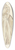 Lee Hager - Wedding Dress 39.3 inch art pintail longboard deck