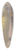 Leo Gestel - Ontwerpschets voor Paul Fierens lArt Hollandais contemporain; twee mannen hoofden, en profil afgebeeld, van elkaar weg kijkend. 39.3 inch art pintail longboard deck