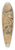 Leonaert Bramer - Dead Abel Mourned byAngels 39.3 inch art pintail longboard deck