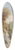 Leopold Munsch - Sommerliche Landschaft mit Blick auf den Hallsttter See 39.3 inch art pintail longboard deck