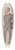 Leslie Matthew Ward - Architecture and Engineers. Imperialist Afrikander. Sir James Sivewright. 1 June 1893 39.3 inch art pintail longboard deck