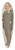 Leslie Matthew Ward - Soldiers Three, Rudyard Kipling 39.3 inch art pintail longboard deck