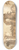 Circle of Bartholomeus Breenbergh - Roman Ruins 8.25 inch art skate deck
