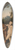 Lucas Cranach - Judgment of the Paris 39.3 inch art pintail longboard deck