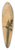 Lucas Cranach the Elder - Adam 39.3 inch art pintail longboard deck