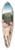 Lucas Cranach the Elder - The Judgement of Paris 39.3 inch art pintail longboard deck
