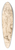 Maarten Van Heemskerck - Kristus for Herodes 39.3 inch art pintail longboard deck