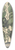 Mark Catesby - The Pilchard (Argentina carolina) 39.3 inch art pintail longboard deck