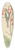 Mark Catesby - The Yellow Throated Creeper 39.3 inch art pintail longboard deck