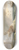 Claude-Joseph Vernet - A Coastal Scene 8.25 inch art skate deck