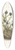 Mary Vaux Walcott - Crowberry. Empetrum nigrum 39.3 inch art pintail longboard deck