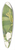 Mary Vaux Walcott - Cucumbertree. Magnolia acuminata 39.3 inch art pintail longboard deck
