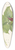 Mary Vaux Walcott - Red Trillium. Trillium erectum 39.3 inch art pintail longboard deck