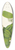 Mary Vaux Walcott - Sweetbay. Magnolia virginiana 39.3 inch art pintail longboard deck