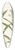 Mary Vaux Walcott - Turtlehead. Chelone glabra 39.3 inch art pintail longboard deck