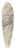 Max Liebermann - Wain in the dunes 39.3 inch art pintail longboard deck