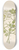 Clemenz Heinrich Wehdemann - 2 species of Carisfa arduina [Carissa haematocarpa] 8.25 inch art skate deck