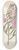 Clemenz Heinrich Wehdemann - Convolvulus [Ipomoea oenotheroides] 8.25 inch art skate deck