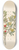 Clemenz Heinrich Wehdemann - Octandria Monog. [Pappea capensis] 8.25 inch art skate deck