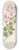 Clemenz Heinrich Wehdemann - Pelargonium peltatum 8.25 inch art skate deck