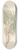 Clemenz Heinrich Wehdemann - Phoenix [Phoenix reclinata] 8.25 inch art skate deck
