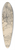 Nelly Spoor - Meisje draagt een hond op een winderig bospad 39.3 inch art pintail longboard deck