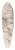 Nicaise De Keyser - Saint Nicholas Church in Ghent 39.3 inch art pintail longboard deck
