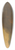 Nicolaes Pietersz. Berchem - Italian Landscape 39.3 inch art pintail longboard deck