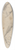 Nicolai Abildgaard - Studie af en hnd og et draperi 39.3 inch art pintail longboard deck