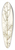 Nikolaus Joseph Freiherr von Jacquin - Cacalia peucedanifolia 39.3 inch art pintail longboard deck