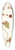 Nikolaus Joseph Freiherr von Jacquin - Cynanchum obliquum 39.3 inch art pintail longboard deck