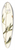 Nikolaus Joseph Freiherr von Jacquin - Delphinium urceolatum 39.3 inch art pintail longboard deck