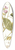 Nikolaus Joseph Freiherr von Jacquin - Dolichos acinaciformis 39.3 inch art pintail longboard deck