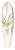 Nikolaus Joseph Freiherr von Jacquin - Lachenalia hyacinthoides 39.3 inch art pintail longboard deck