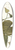 Nikolaus Joseph Freiherr von Jacquin - Piper marginatum 39.3 inch art pintail longboard deck