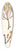 Nikolaus Joseph Freiherr von Jacquin - Ribes petraeum 39.3 inch art pintail longboard deck