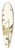 Nikolaus Joseph Freiherr von Jacquin - Salvia viscosa 39.3 inch art pintail longboard deck